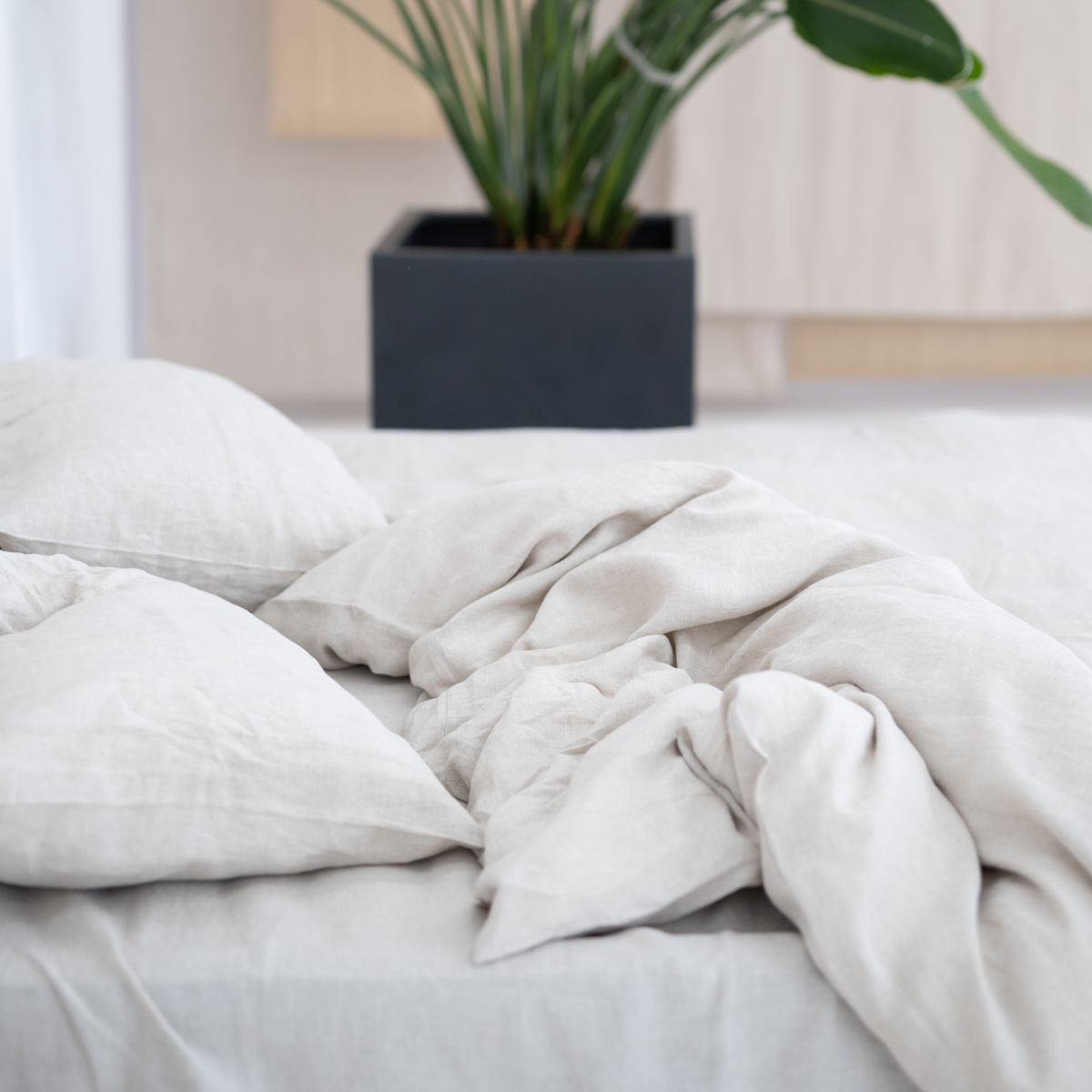 Natürliche Pilot Abdeckung