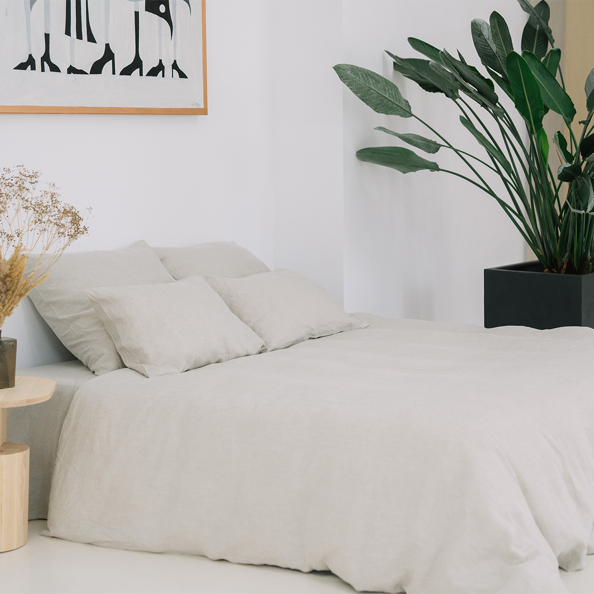 Set aus Kissenbezügen 50x70 und Laken 90x200