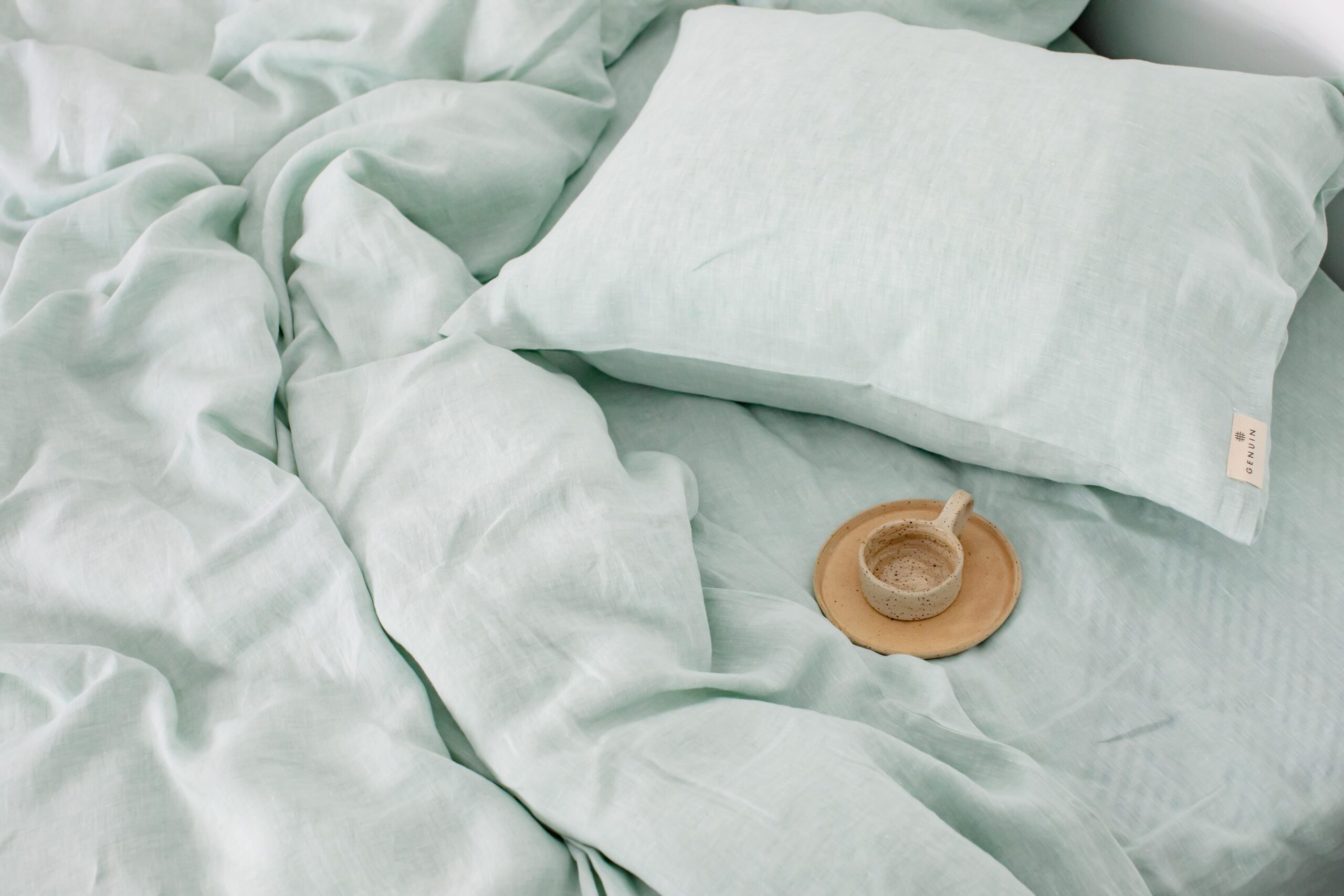 Set Staubgrüner Kopfkissenbezug 50x60cm und Laken 90x200cm