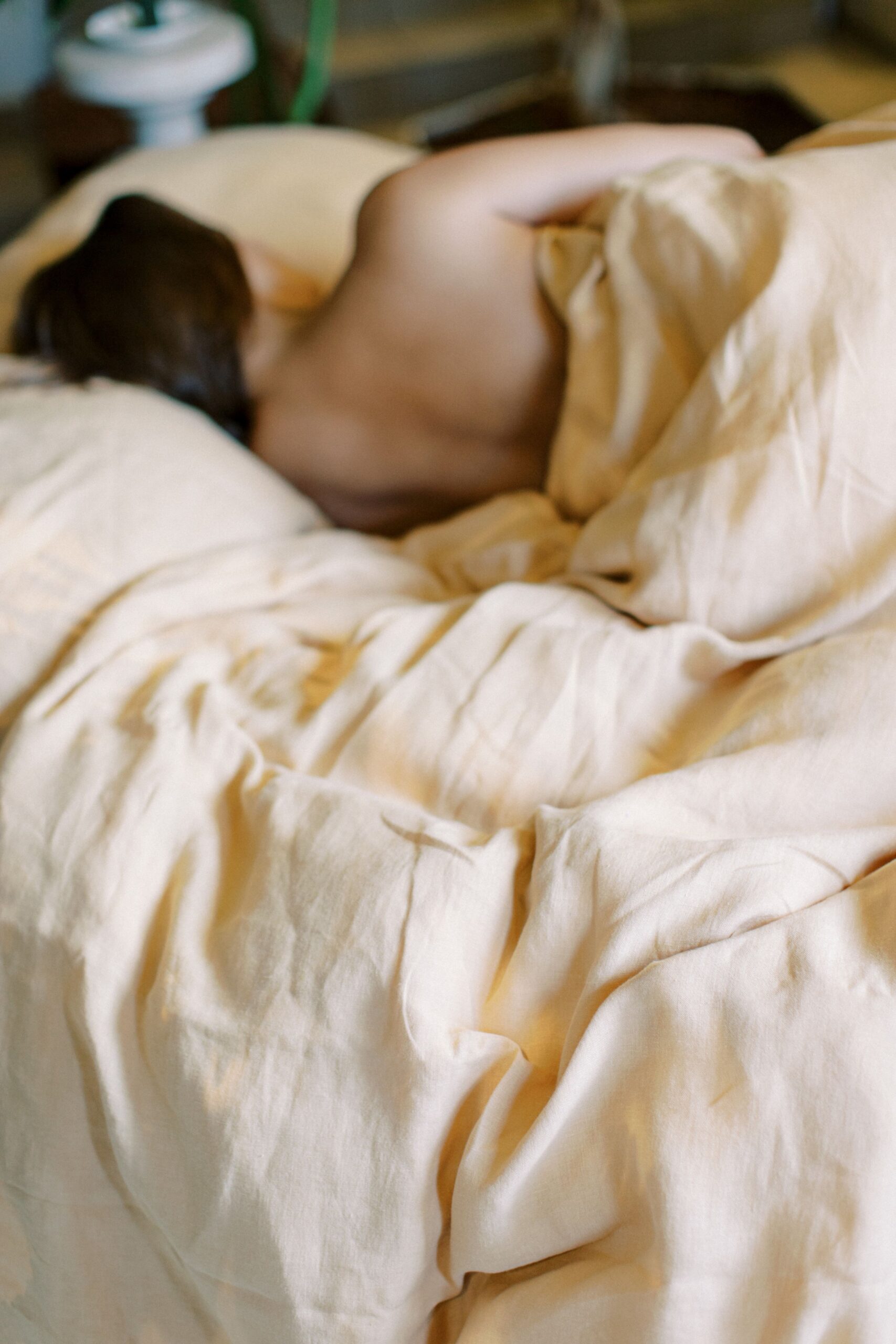 Sanftes Gänseblümchen-Blatt