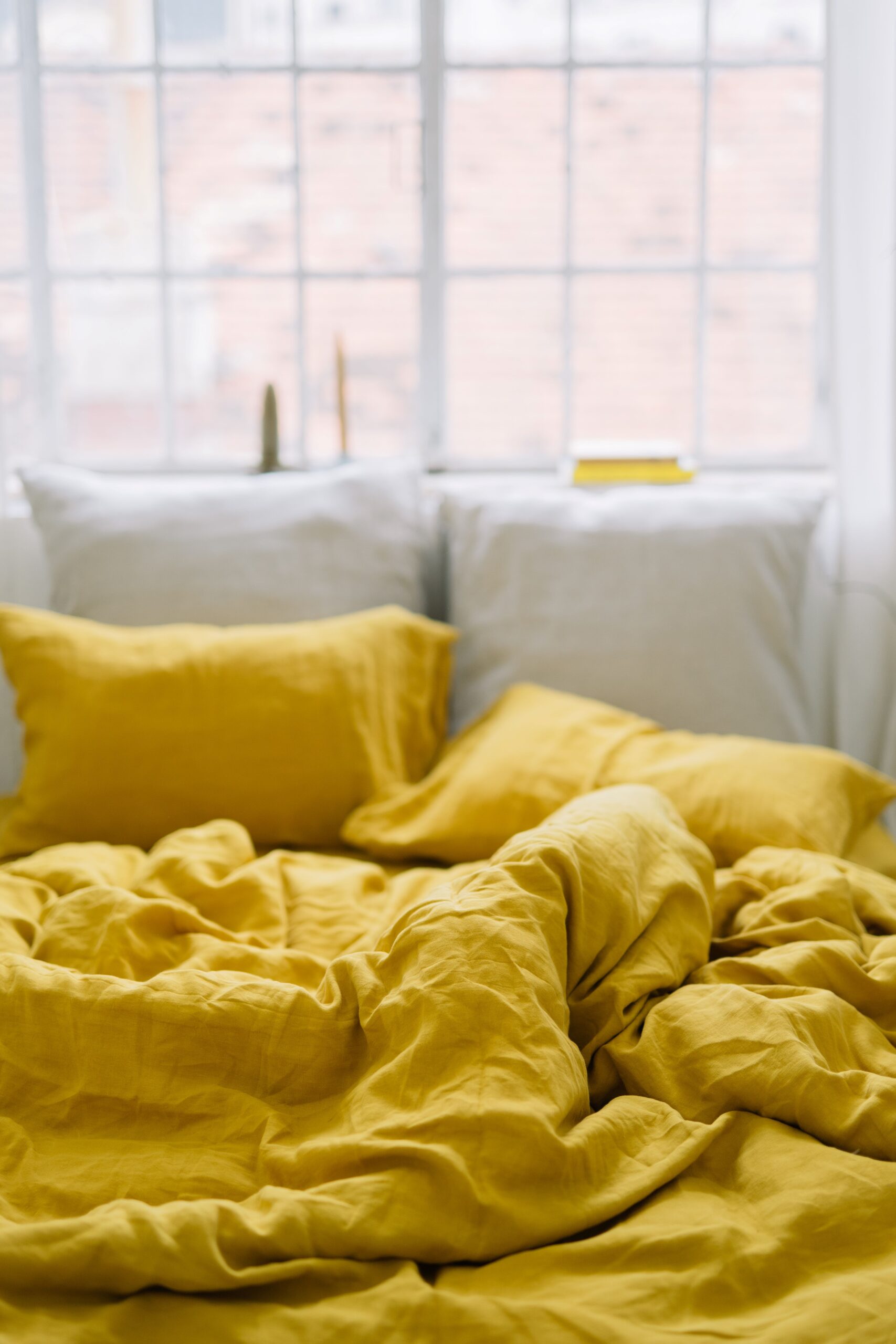 Süßer Kürbis Kürbisblatt