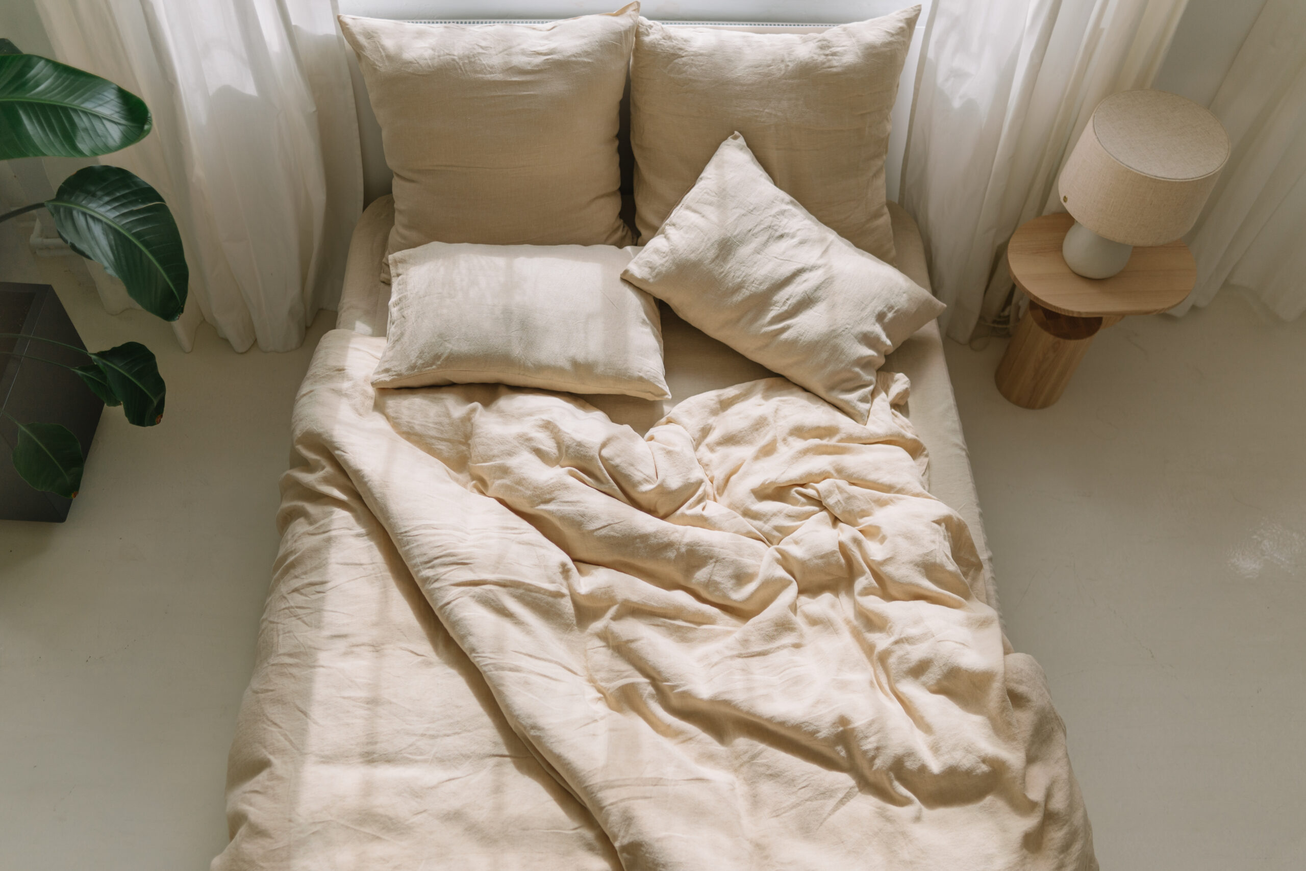 Set Vanillecreme Kissenbezüge 50x60 und Laken 90x200