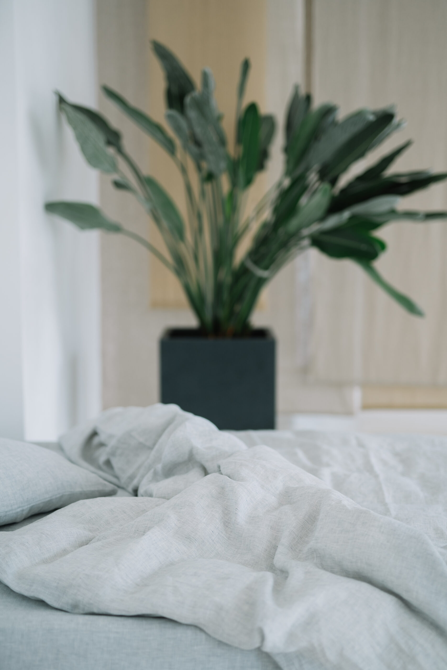 Staubgraue 50x60cm Kissenbezüge und 90x200cm Laken Set