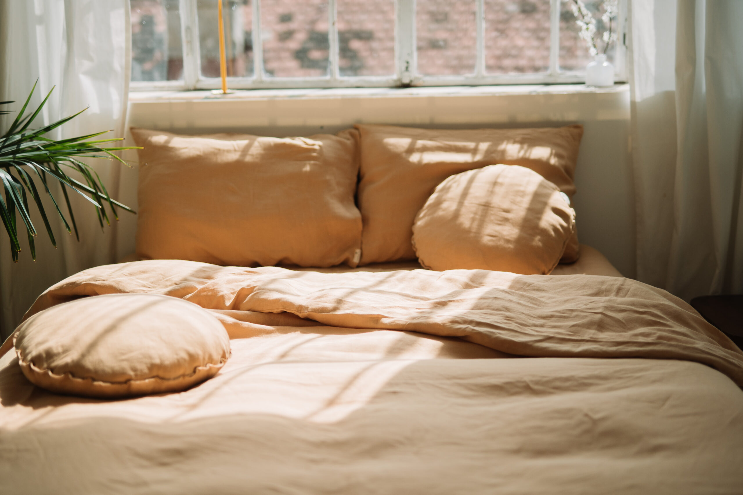 Set Gentle Daisy Kissenbezüge 80x80 und Kissenbezug 220x240