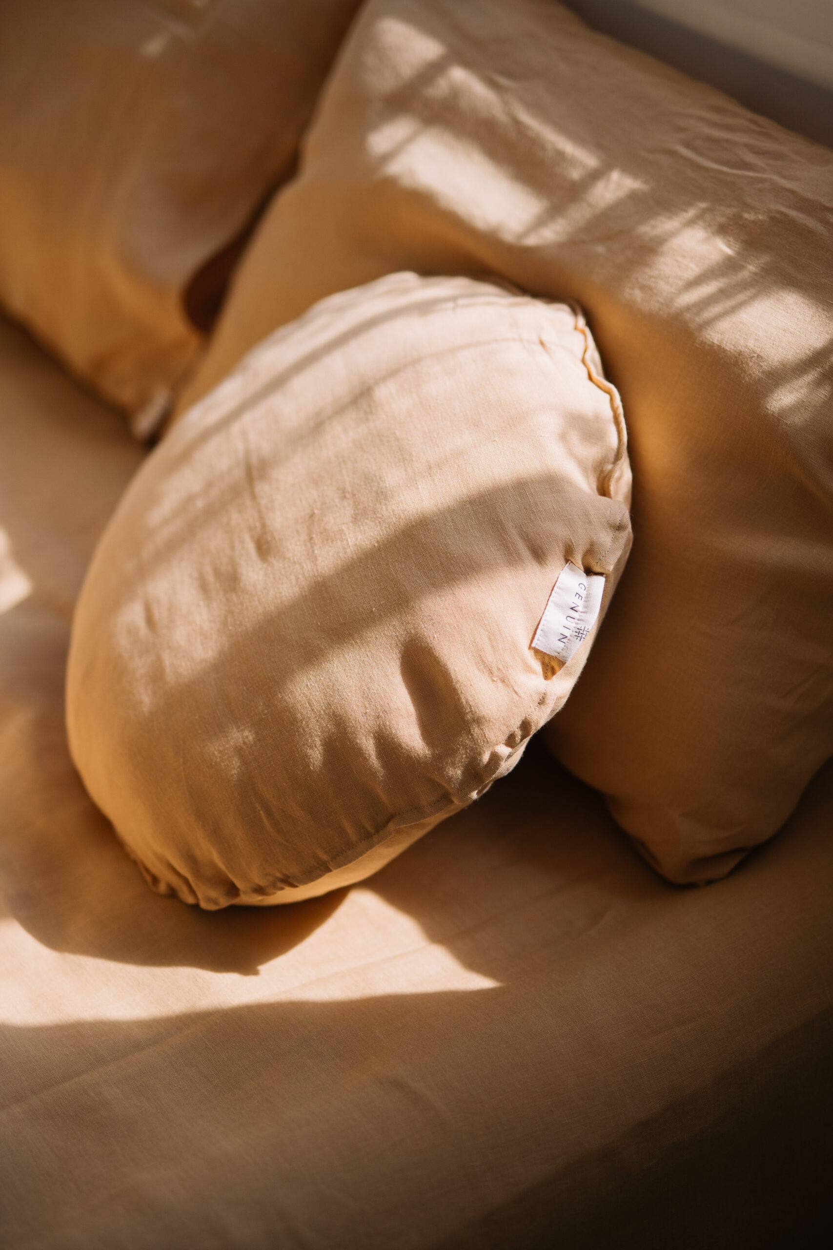 Set Gentle Daisy Kopfkissenbezüge 50x60 und Laken 80x200