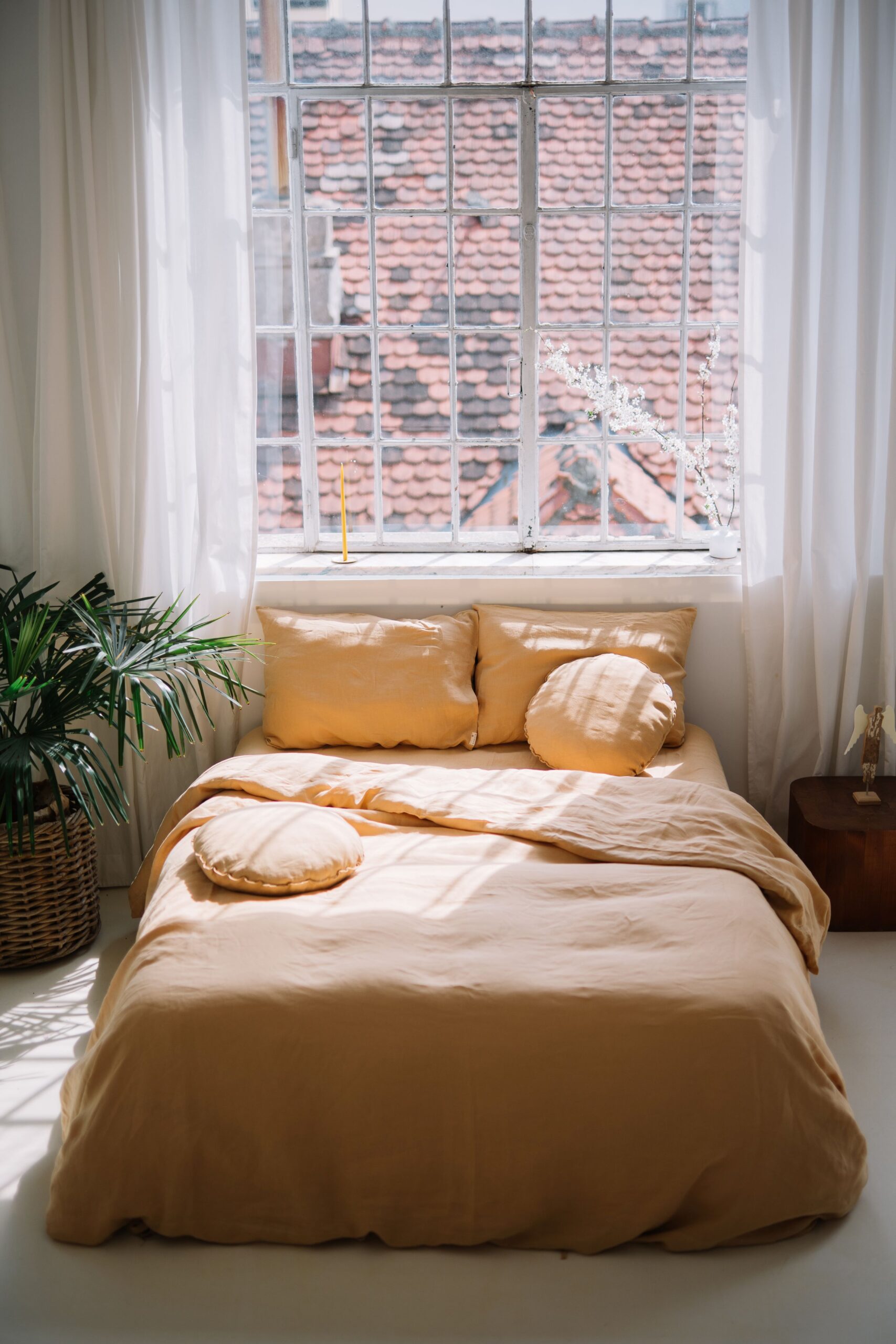 Set Gentle Daisy Kissenbezüge 50x60 und Kissenbezug 200x200