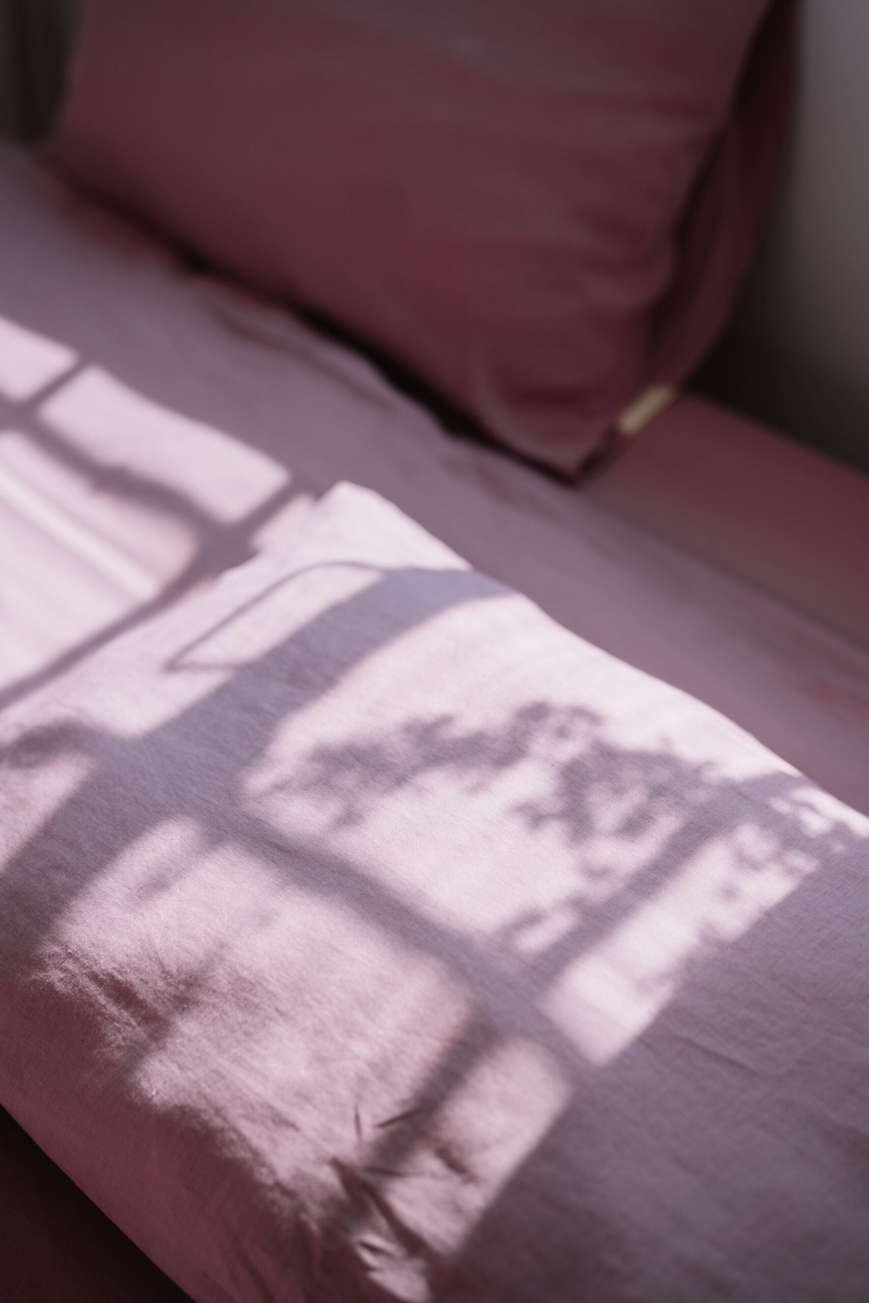 Set Lila Traumlaken 90x200 und Pilotbezug 150x200