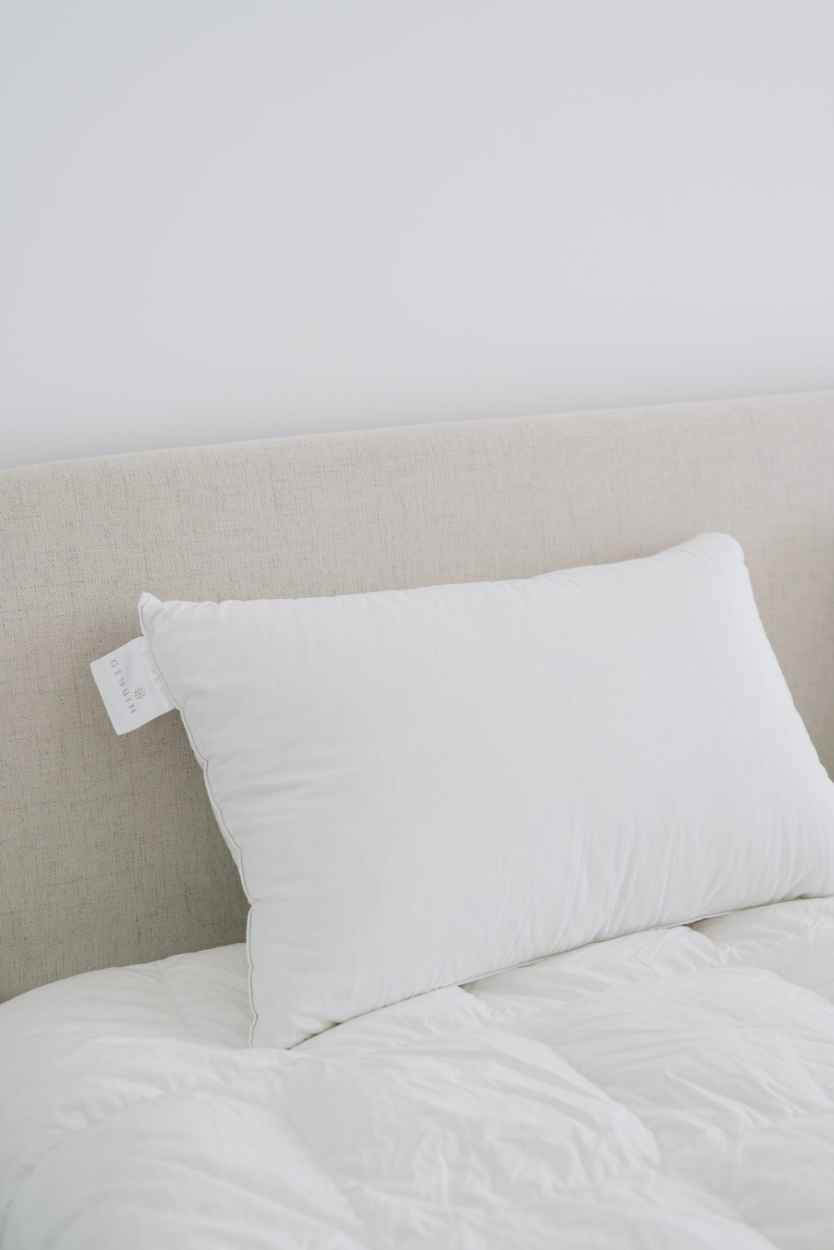 Luxus Kopfkissen 100% Daunen Ungarische Gans 50x70 cm